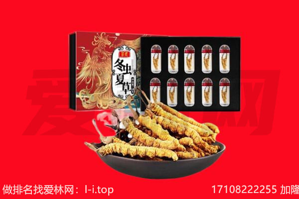 中卫市回收虫草.jpg